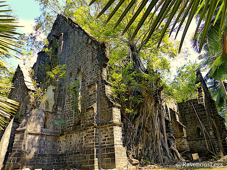 an old building with trees growing out of it