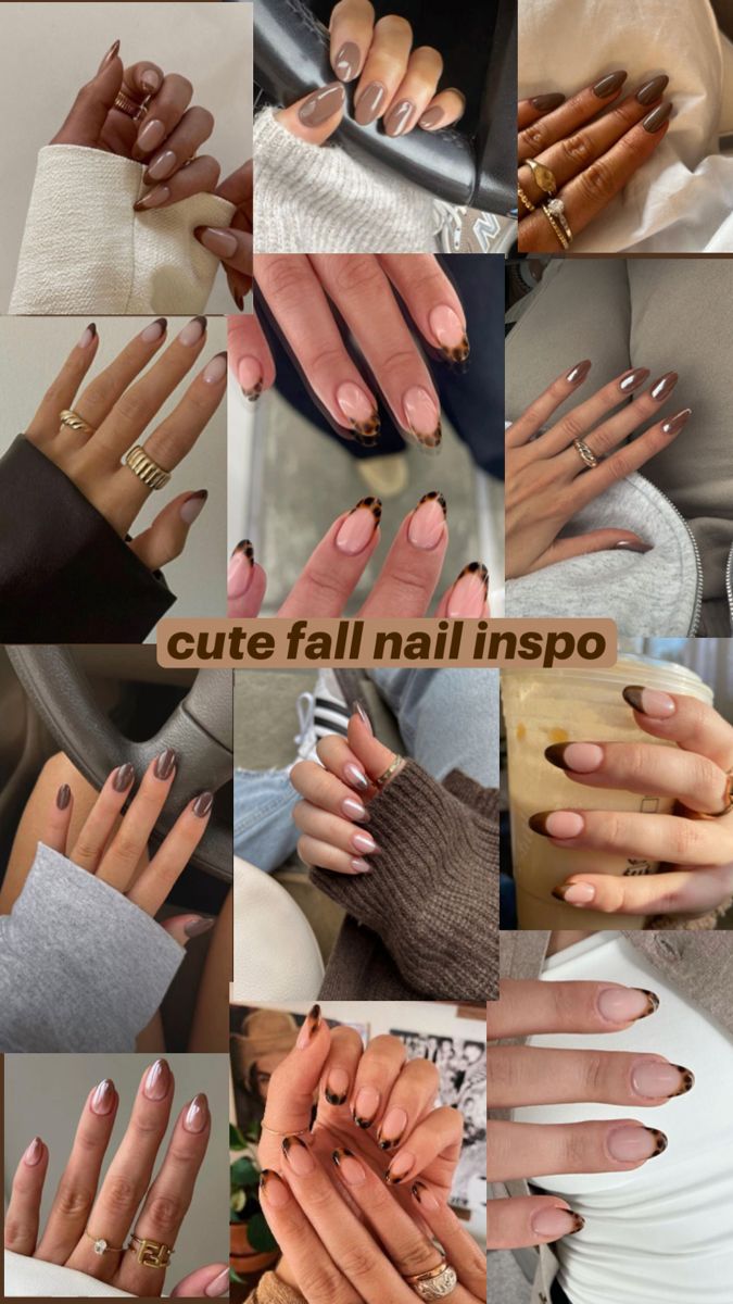 cute fall nail ideas, not my pictures, brown nails, fall nail, nail ideas Nail Inspo Almond Fall, Fall Nail Inspo Almond, Brown Nails Fall, Fall Almond Nails Ideas, Cute Fall Nail Ideas, Nail Inspo Almond, Fall Nail Ideas, Cute Nails For Fall, October Nails