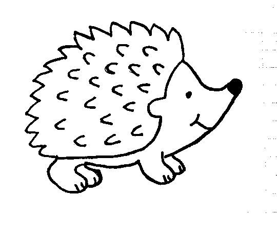 a drawing of a hedgehog