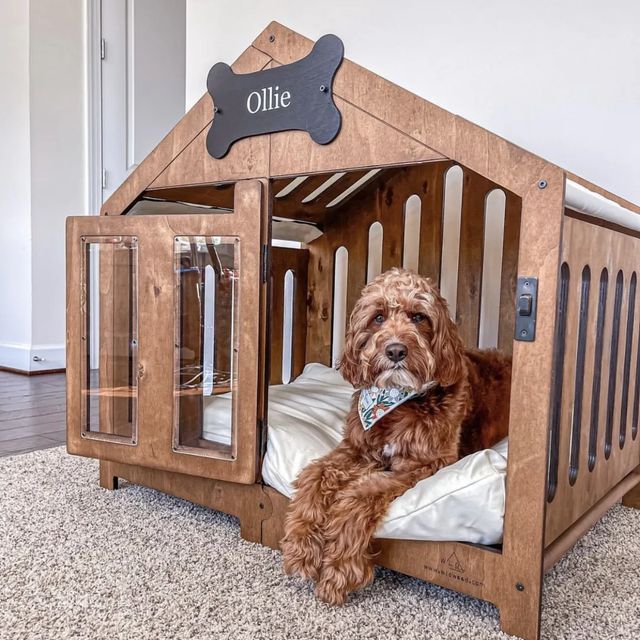 a brown dog sitting in a wooden bed