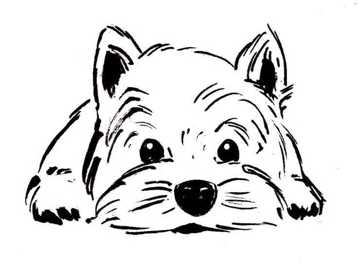 a black and white drawing of a dog's face