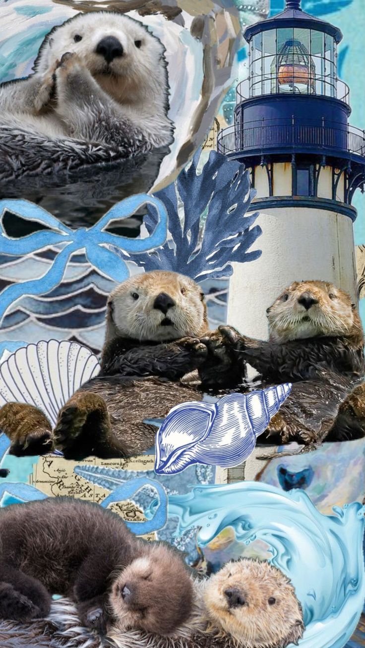 sea otters and lighthouse collage with blue water