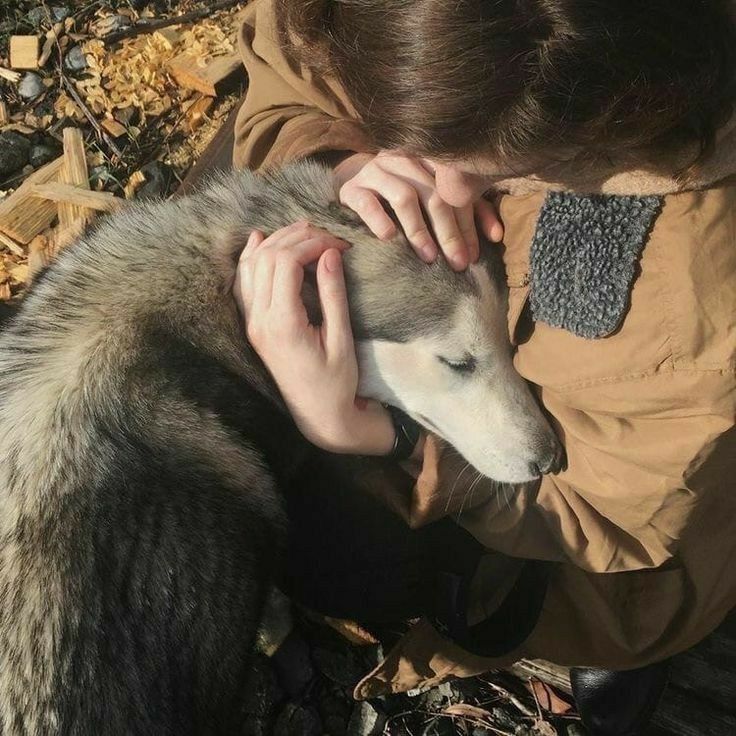 a woman petting an animal on the ground