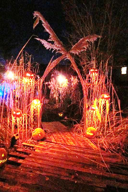 halloween decorations are lit up at night in front of trees and pumpkins on the ground