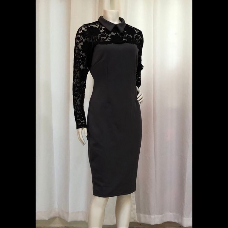 Nwt Beautiful Dark Gray Knee Length Dress With Black Lace Sleeves And Upper Bodice. Material Is Thicker Quality With Some Stretch. Elegant Gray Dress For Night Out, Gray Bodycon Dress For Party, Elegant Gray Dress For Date Night, Elegant Gray Bodycon Dress, Boho Dress Fall, Red Flower Dress, Grey Knit Dress, Cowl Dress, Draped Midi Dresses