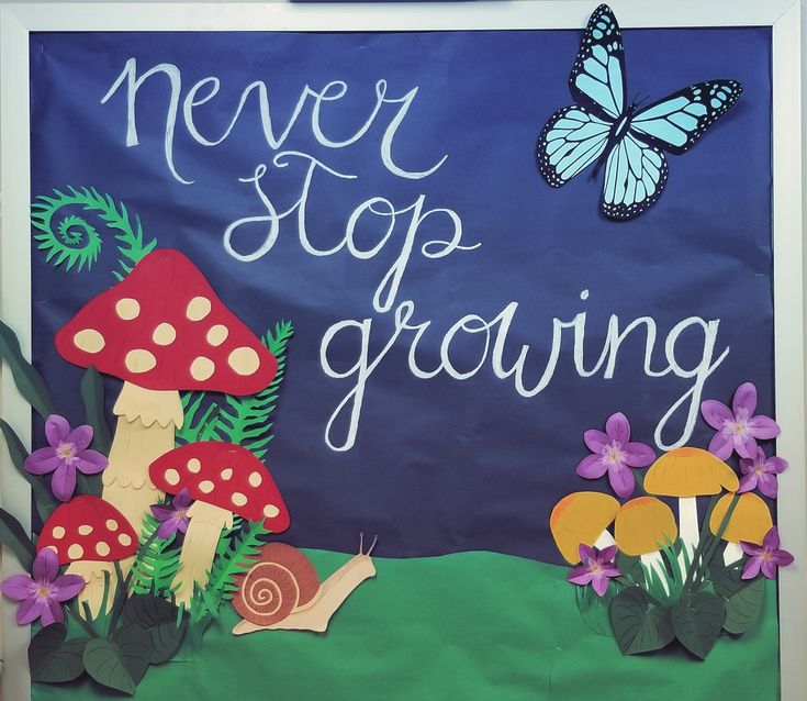 a bulletin board that says never stop growing with mushrooms, butterflies and flowers on it