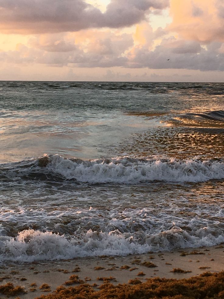 the water is choppy and foamy on the beach as the sun goes down