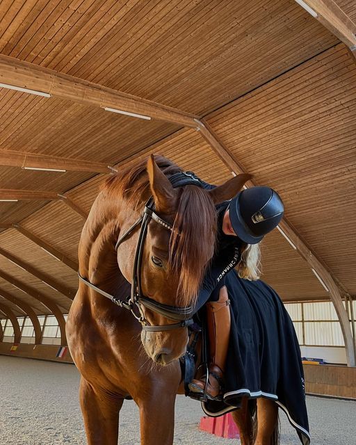 a brown horse standing under a wooden structure