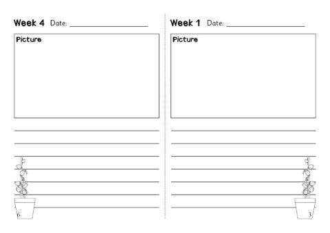 an image of a printable worksheet for students to do their homeworks