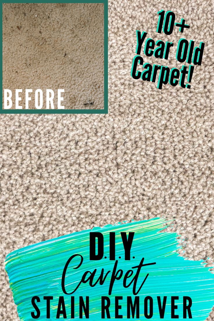 carpet stain remover with the words diy carpet stain remover before and after