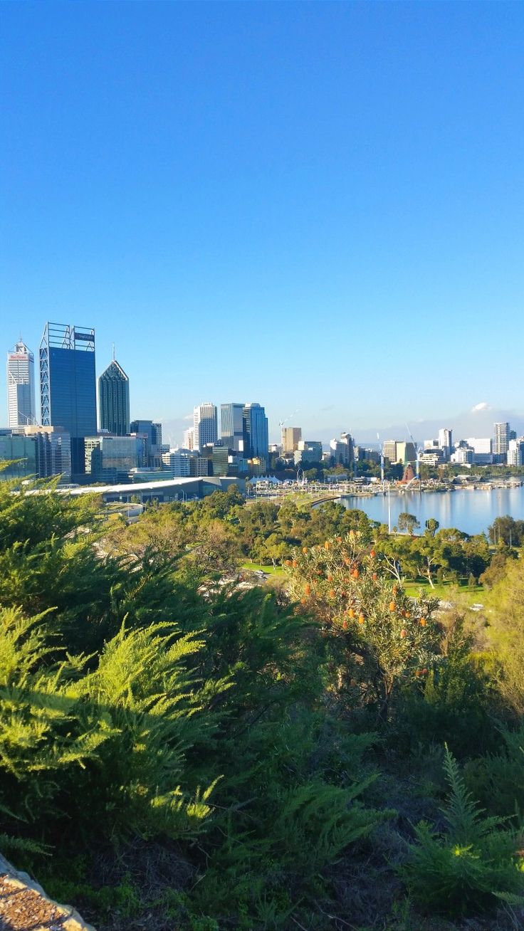 a view of the city skyline and water from an overlook point on a sunny day