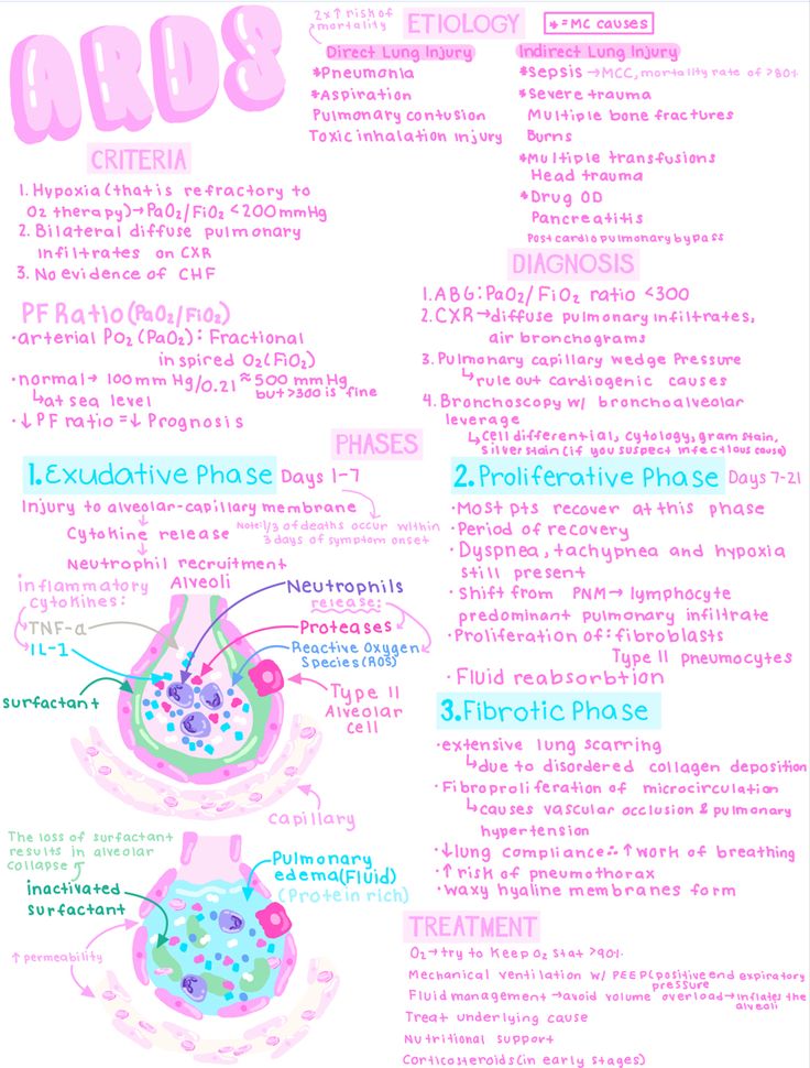 the anatomy of an animal's stomach is shown in pink and blue, with words describing