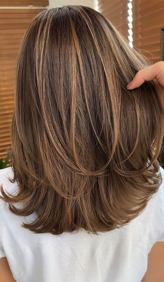 Brown Toffee Highlights, Brunette And Highlights, Base 6 Hair Colour, Highlights For Hair Brown, Color For Hair Highlights, Brown Hair Layers Highlights, Rich Brown With Blonde Highlights, Medium Brown Color Hair, Brown Highlighted Hair Ideas