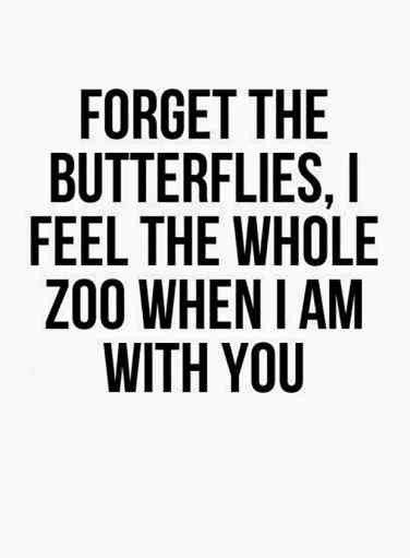 a black and white poster with the words forget the butterflies, i feel the whole zoo when i am with you