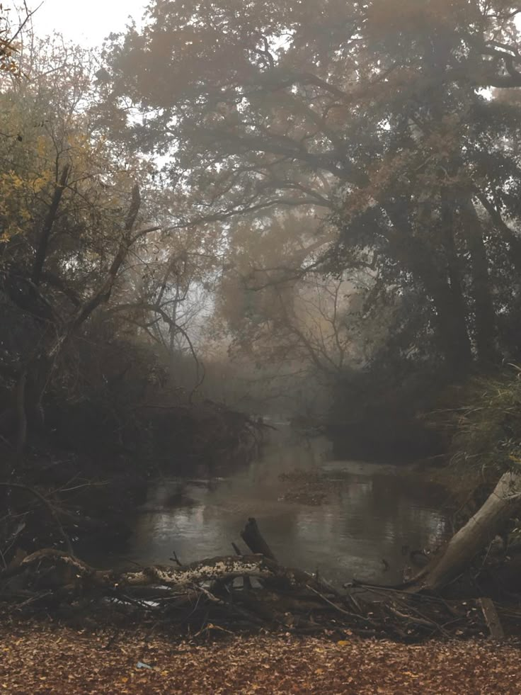 a river surrounded by trees and fallen leaves in the foggy day with no one on it