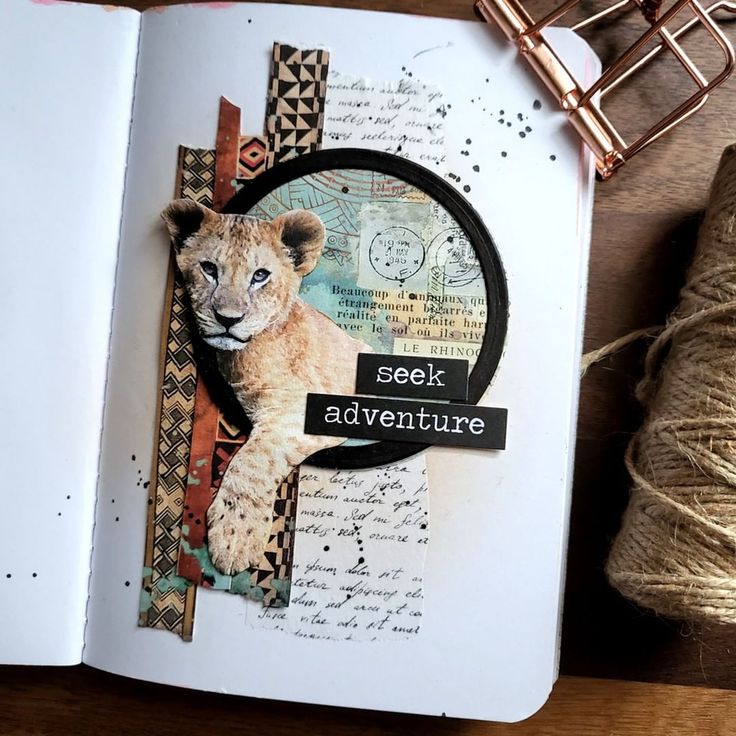 an open book with pictures and words on the pages, including a small lion cub