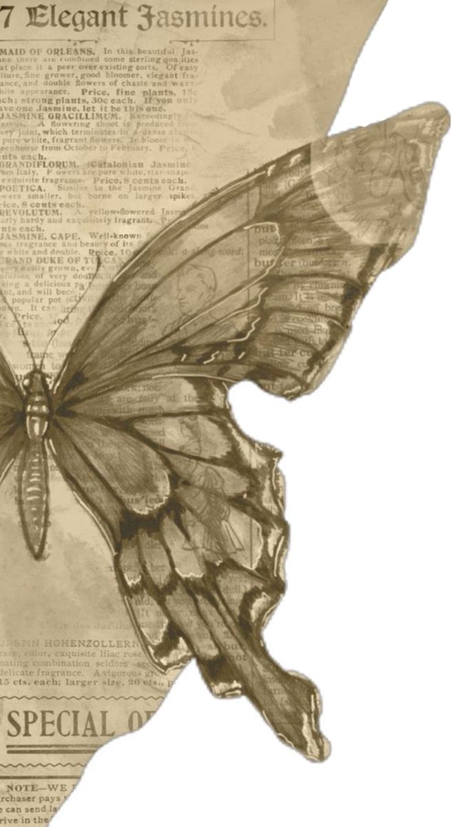 a drawing of a butterfly sitting on top of a piece of paper with words written in it