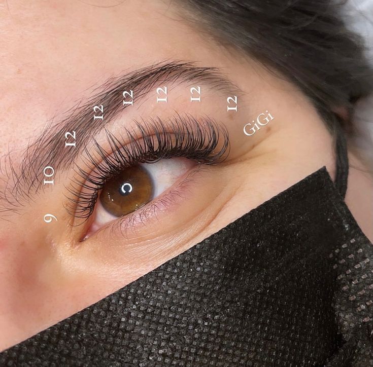 Classic Extension Mapping, Natural Eye Lash Mapping, Classic Lash Extension Mapping, Natural Lash Extensions With Numbers, Classic Eyelash Mapping, Lash Extension Photos, Lashes Extensions With Numbers, Natural Eyelash Extensions Map, Classic Open Eye Lash Map