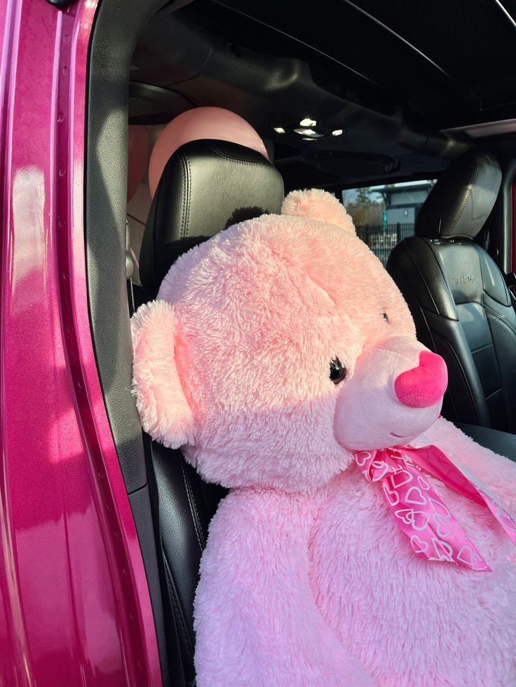 a pink teddy bear sitting in the back seat of a car