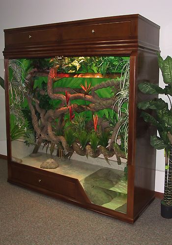 an aquarium with plants and rocks in the bottom half is on display next to a potted plant