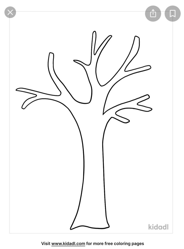 a tree with no leaves is shown in the middle of this coloring page for kids