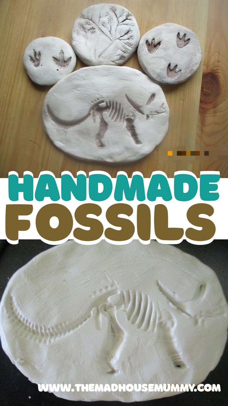 These sweet little handmade fossils are the prefect craft for children who love dinosaurs and archaeology! Diy fossil craft for kids. #craftsforkids #claycraftsforkids #fossilhunting #craftsforpreschoolers #dinosaurcrafts Easy Fossil Activity, Make Your Own Fossils, How To Make Dinosaur Fossils, Fossil Imprint Activity, Kids Fossil Dig, Diy Fossil Dig How To Make, Diy Dinosaur Fossils, Fossil Projects For Kids, Making Fossils With Kids