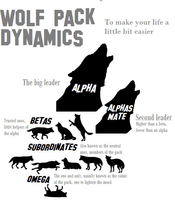 the wolf pack dynamics app on an iphone