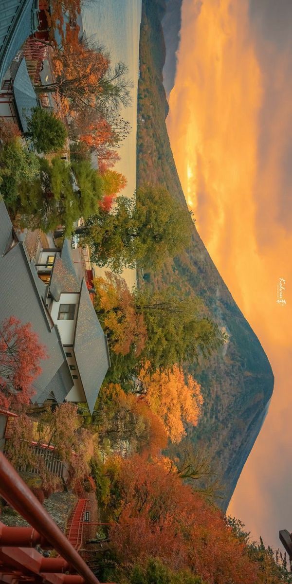 an aerial view of houses and trees in the fall with oranges, yellows, and reds