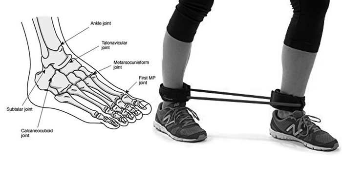 the foot and ankle are labeled in this diagram, which shows how to use an exercise rope