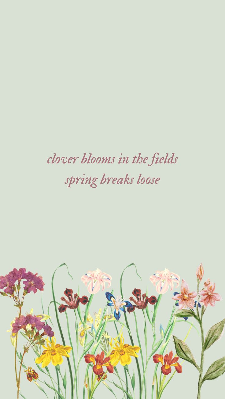 flowers bloom in the fields, spring breaks loose quote on green background with pink and yellow daisies