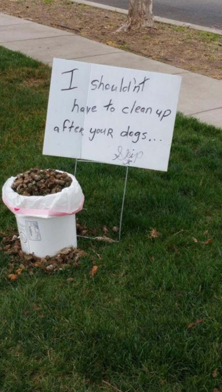 a sign that says i shouldn't have to clean up after your dog is