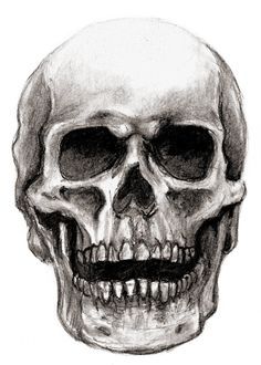 an image of two skulls in different stages of being viewed on the webpages