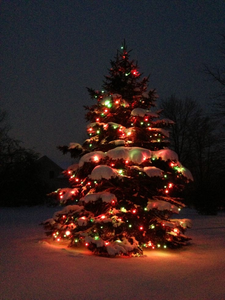 a lit up christmas tree in the snow