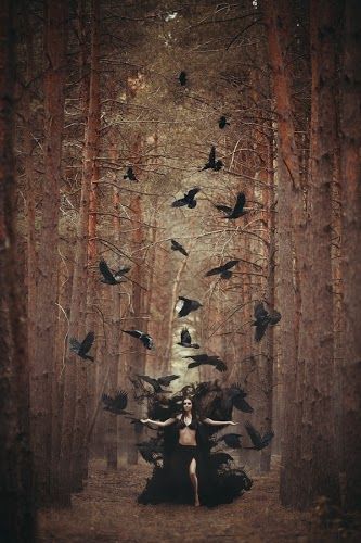 a woman standing in the middle of a forest surrounded by black birds flying around her