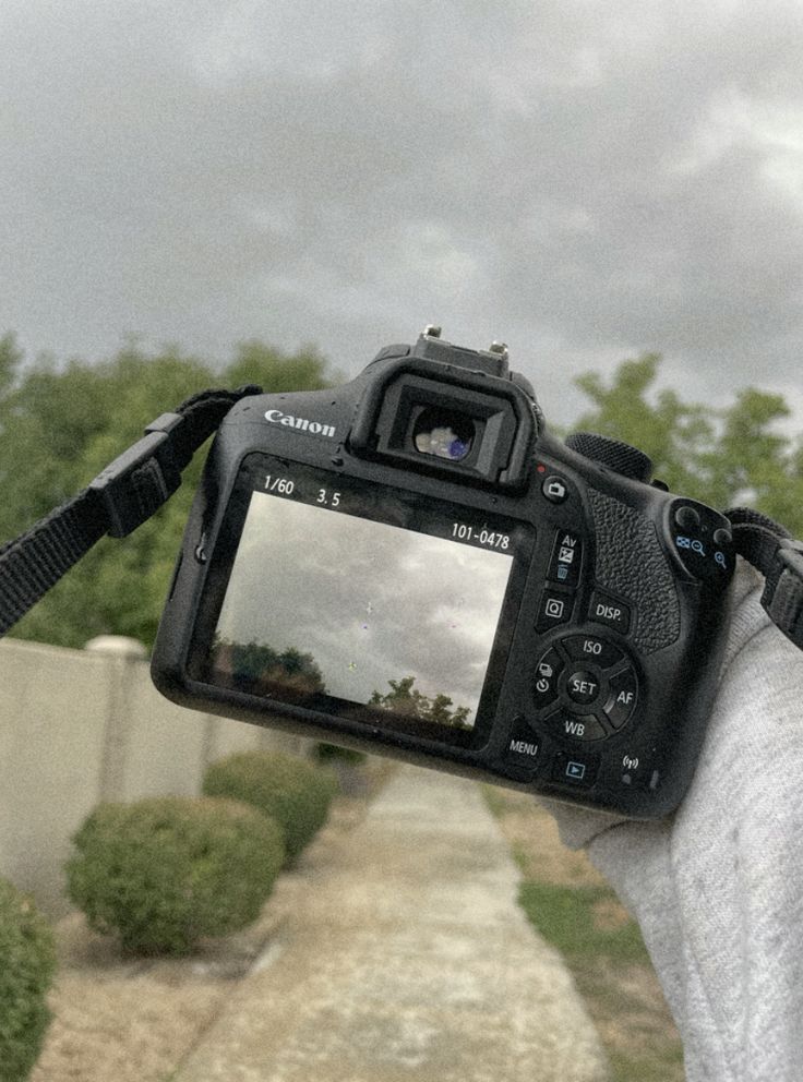 a person holding up a camera to take a photo on a path with trees in the background