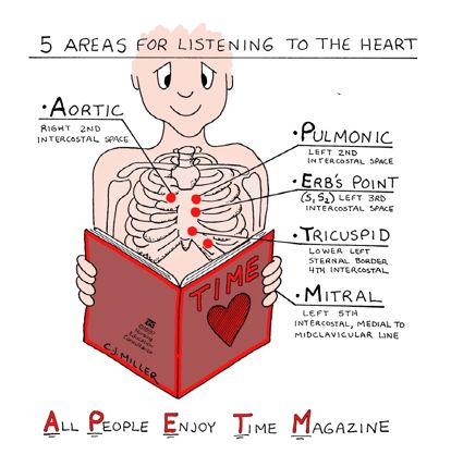 an image of a skeleton reading a book with the caption, 5 areas for listening to the heart