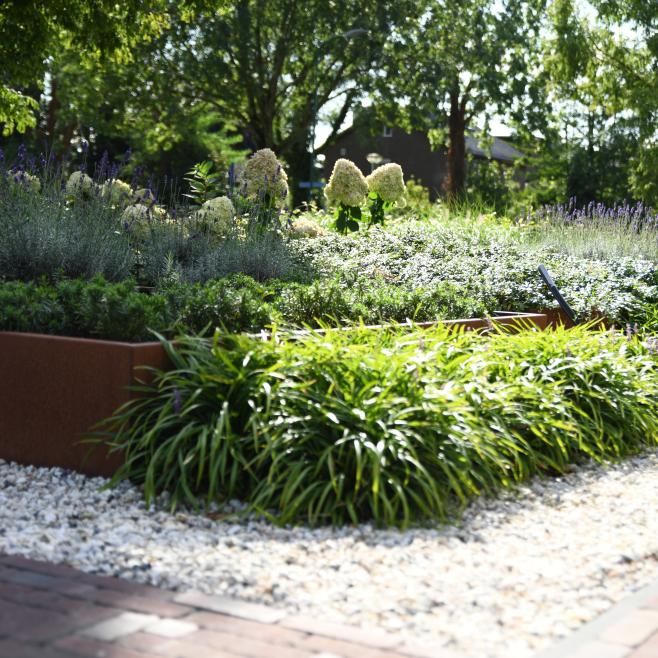 a garden filled with lots of different types of plants