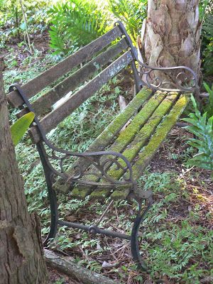 an old wooden bench sitting next to a tree in the woods with moss growing on it