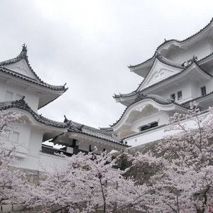 some white buildings and trees with flowers in the foreground, on a cloudy day