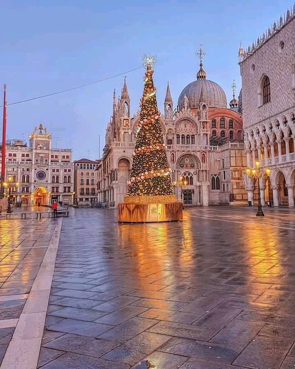 a christmas tree is lit up in the middle of an empty square with buildings around it