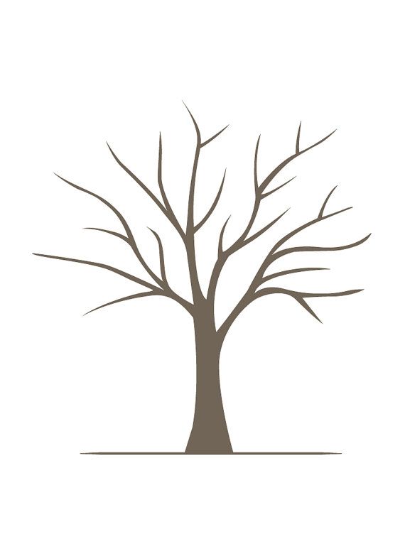 a bare tree with no leaves in the winter, on a white background stock illustration