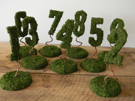 moss covered numbers sitting on top of a wooden table