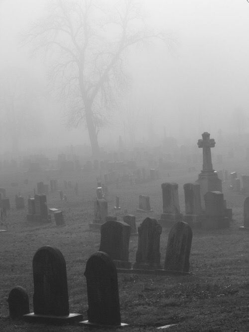 foggy graveyard with headstones in the foreground and trees on the far side