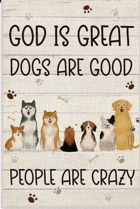 a sign with dogs on it that says, god is great dogs are good people are crazy