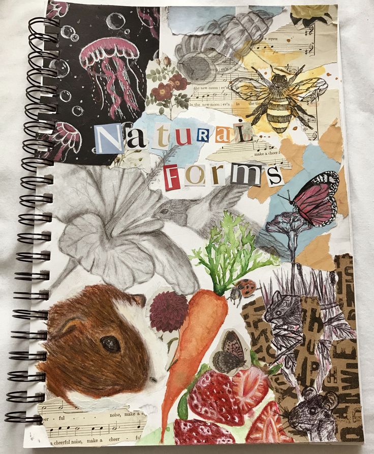 a spiral notebook with an animal collage on it's cover and the words natural forms written in cursive writing