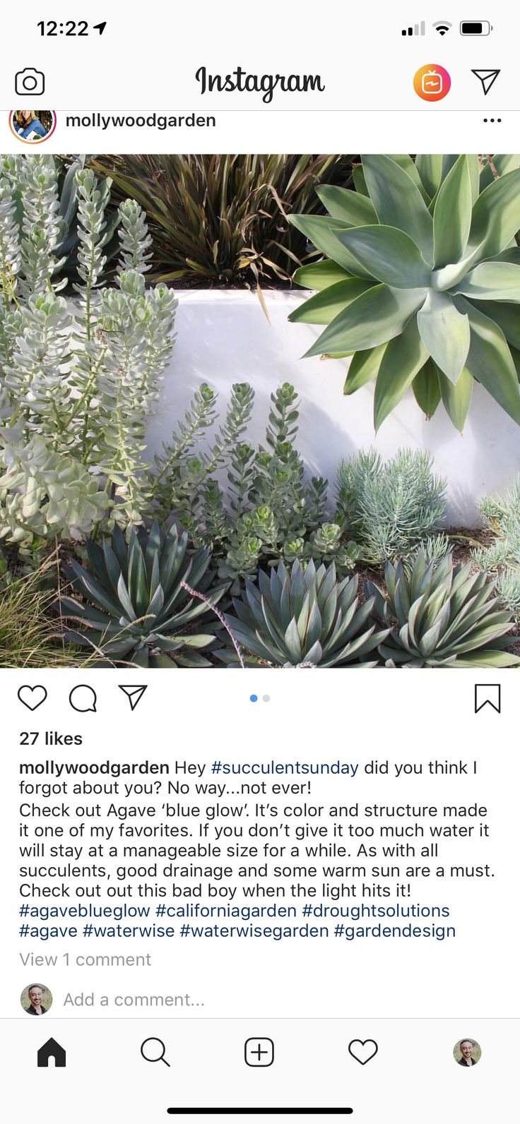 an instagram page with succulent plants on it