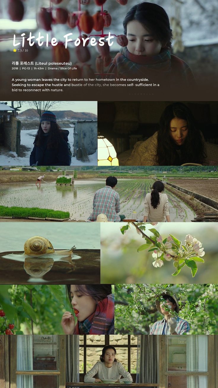 the movie little forest is shown in several different scenes