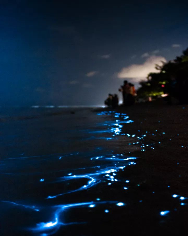 the water is blue and it looks like they are floating in the ocean at night