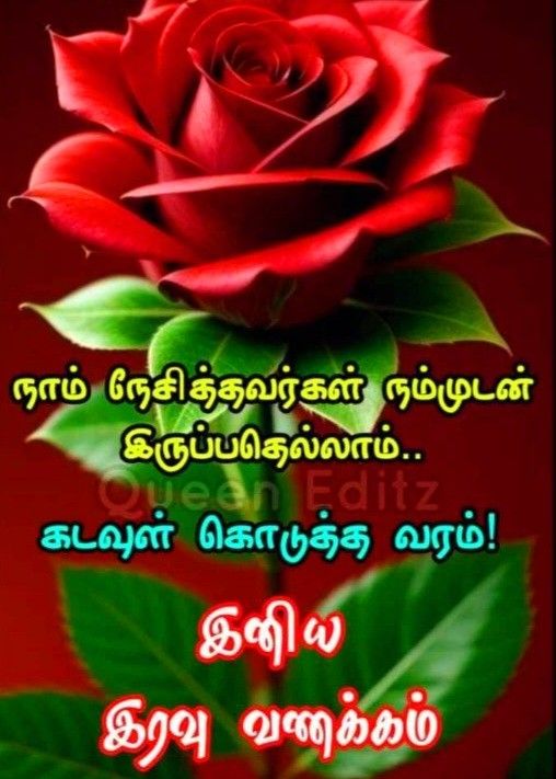 a red rose with green leaves on it and the words, happy birthday in thai