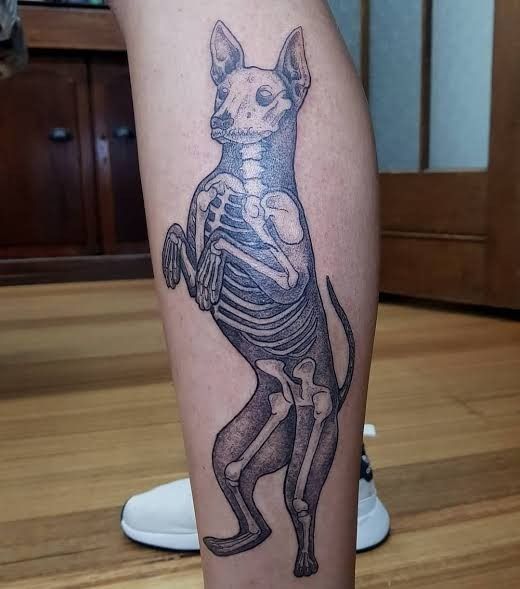 a person with a skeleton tattoo on their leg holding a dog in the shape of a human body